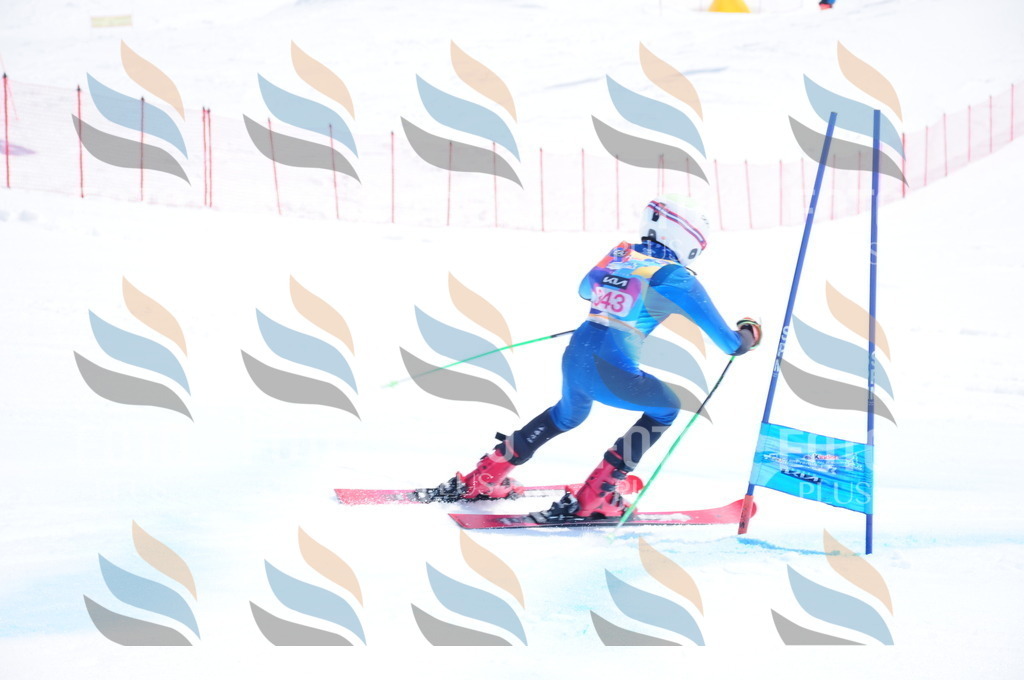 DSC_7064 | holidayphoto