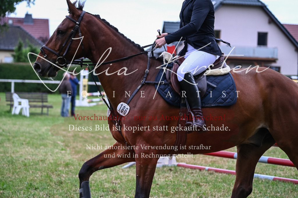DSC_8482 | Pferde- und Turnierfotografie in Westsachsen. Pferdeportraits, Auftragszeichnungen und intuitive Kunst.