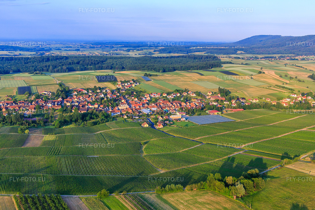 Vue aérienne: Vue de la ville depuis le nord-est à Steinseltz dans le département Bas Rhin, France – .Photo: IMG_100662.jpg prise le 02/06/2017 par Werner Riehm/FLY-FOTO.eu – Résolution de l'original: 5160 x 3440 px
