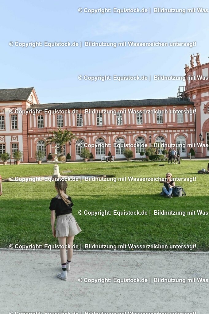 D78_3831 | equistock