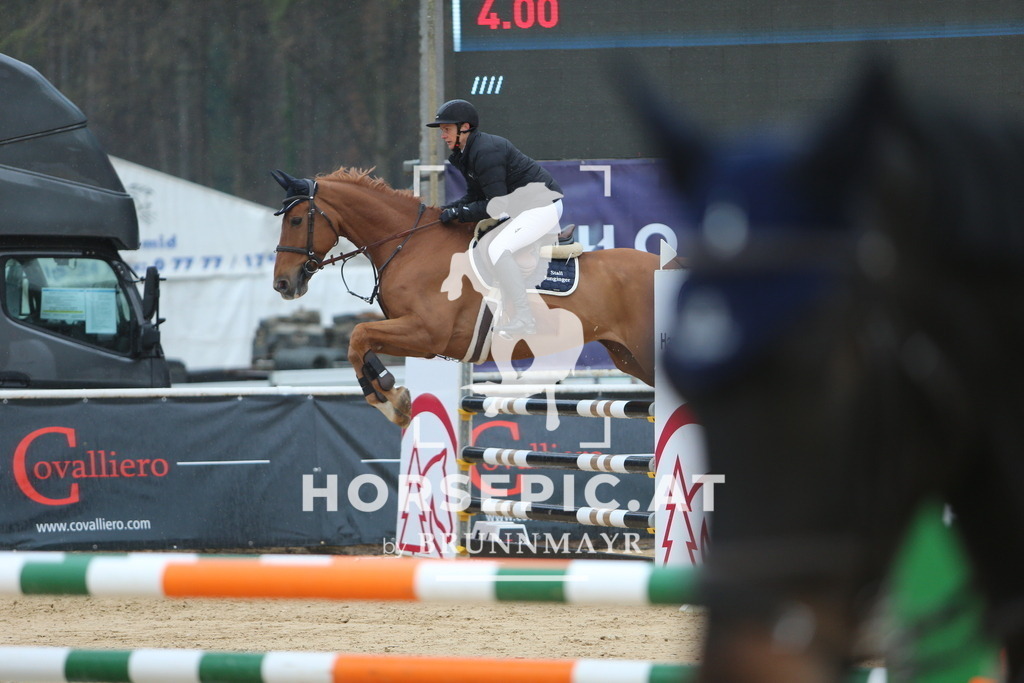 DL2Q6872 | Willkommen bei Brunnmayr - Design & Fotografie – Ihrem Spezialisten für Reitturniere und Pferdeveranstaltungen in Oberösterreich, Salzburg und Bayern! Seit über 17 Jahren sind wir leidenschaftlich dabei.