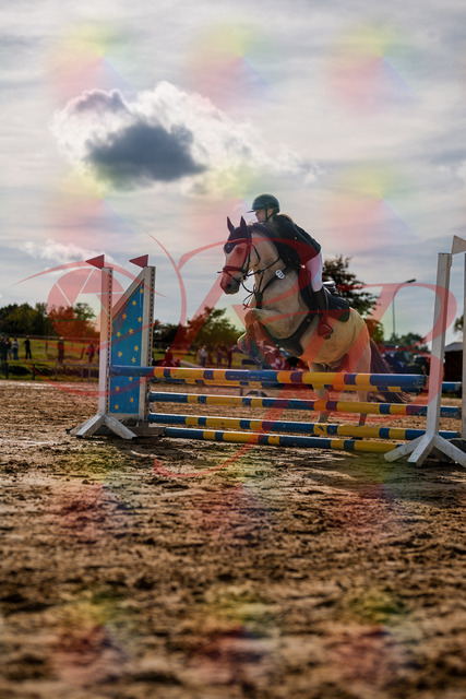 2026_10_03_Siefer-Hof_154503_Z63_09472313 | Professionelle Reitsport-, Turnier- und Eventfotografie von Robert Broda. Galerien mit ausgewählten und bearbeiteten Bildern direkt online ansehen und bestellen.