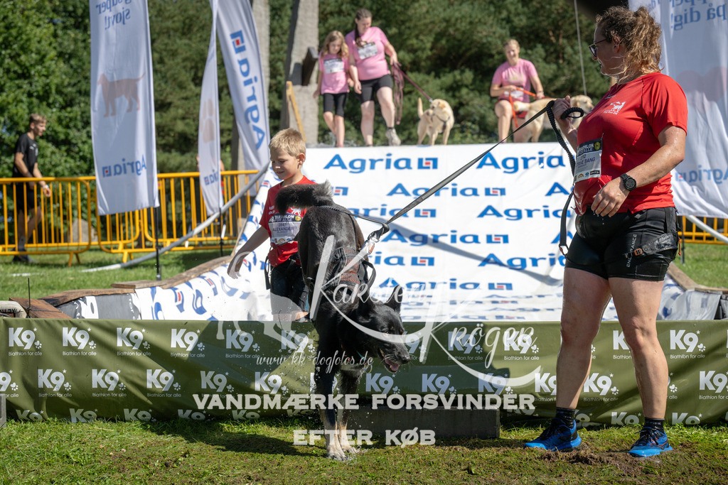 1151_ZZ94353 | kk-dogfotos