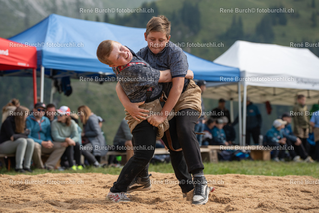 RB_06747 | René Burch leidenschaftlicher Fotograf aus Kerns in Obwalden.  Hier finden sie Sport, Landschaft und Natur Fotografie.
 - Realisiert mit Pictrs.com