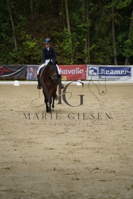 VAN02162 | Marie Giesen Fotografie - Realisiert mit Pictrs.com