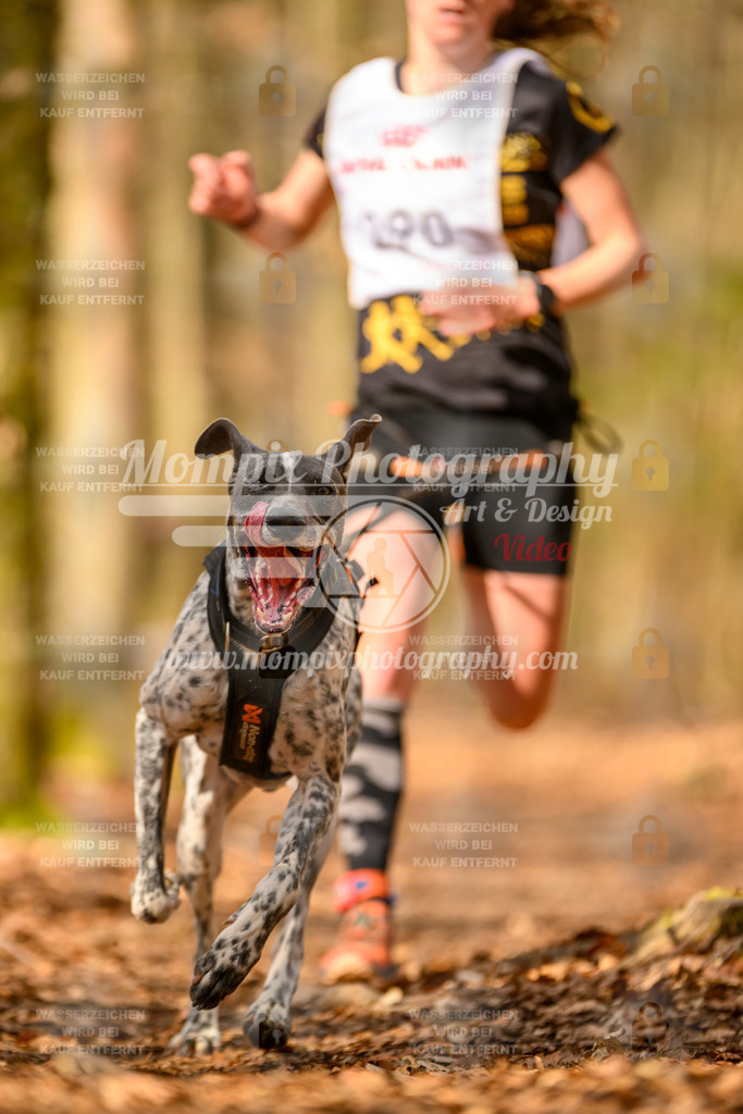 MompixPhotography_Habay2025_SA_CCC-94 | PayLife