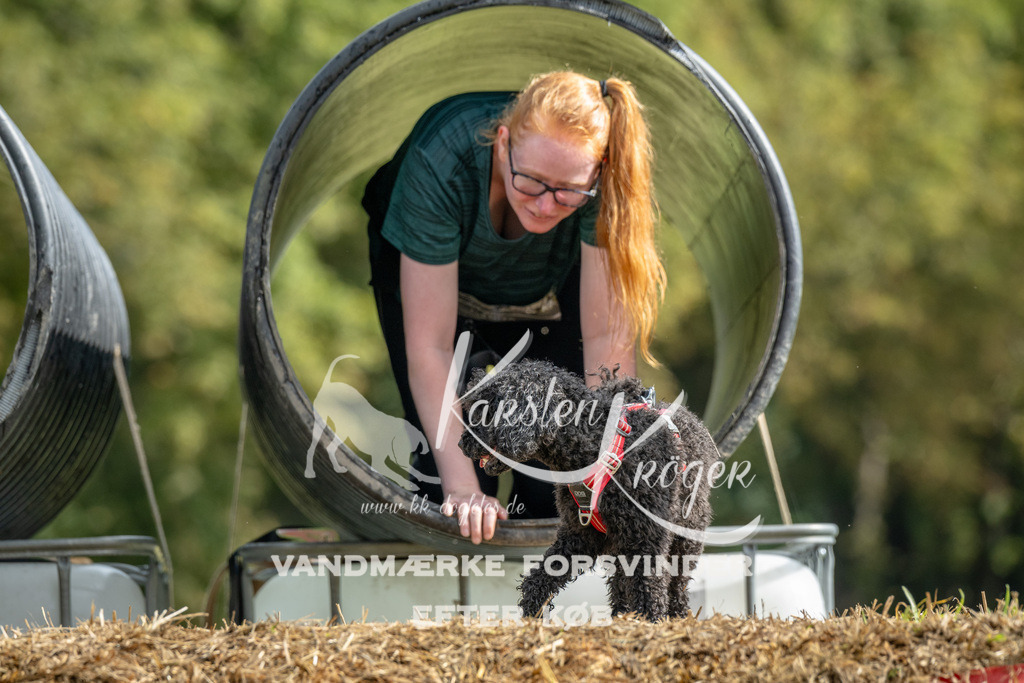 1123_ZZ94046 | kk-dogfotos