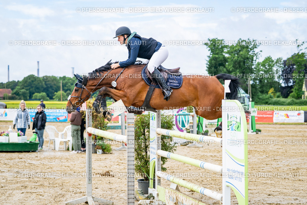 DSC03962 | Pferdegrafie