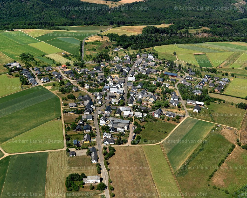 Liesenich-3114535 | Liesenich