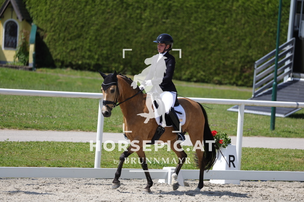 0P6A5074 | Willkommen bei Brunnmayr - Design & Fotografie – Ihrem Spezialisten für Reitturniere und Pferdeveranstaltungen in Oberösterreich, Salzburg und Bayern! Seit über 17 Jahren sind wir leidenschaftlich dabei.