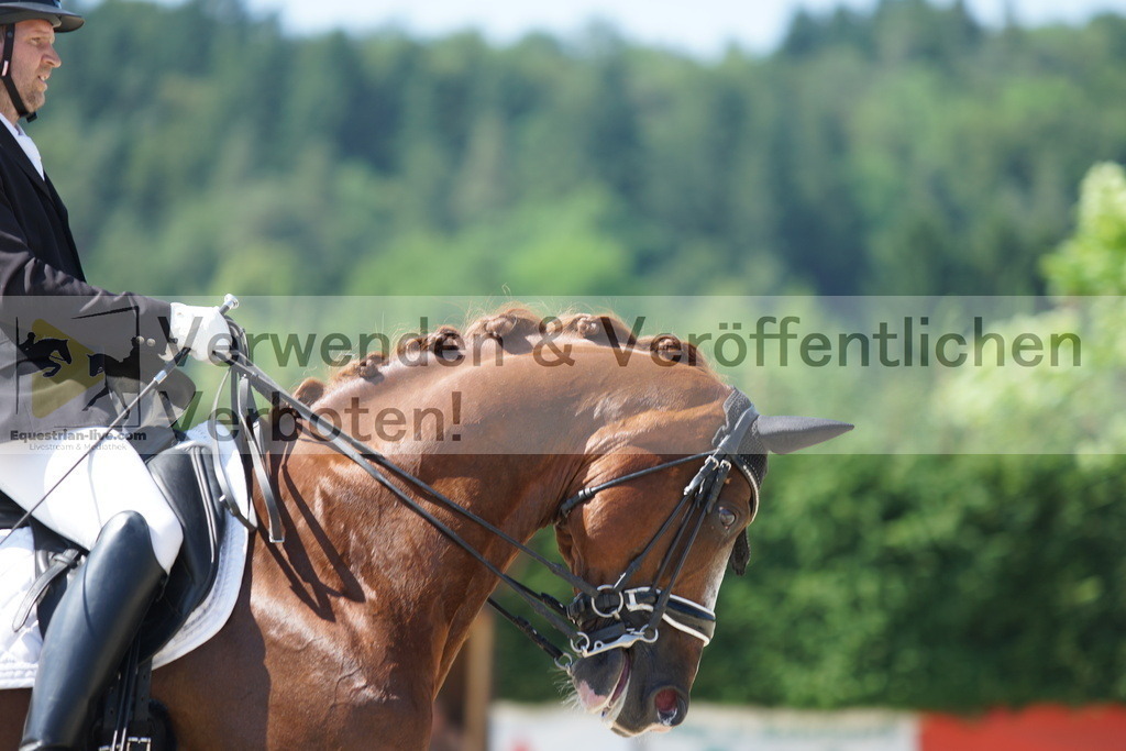 DSC02306 | equestrian-live-com