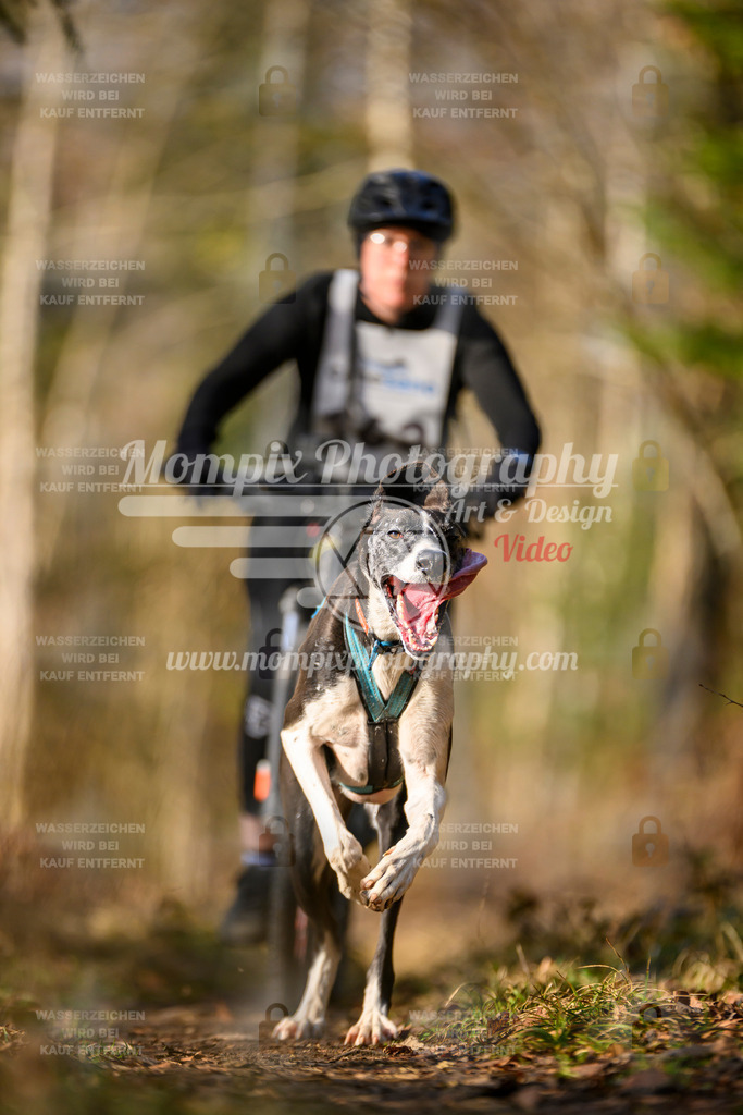 MompixPhotography_6ReiatRennen2026_SO_Bike-46 | PayLife