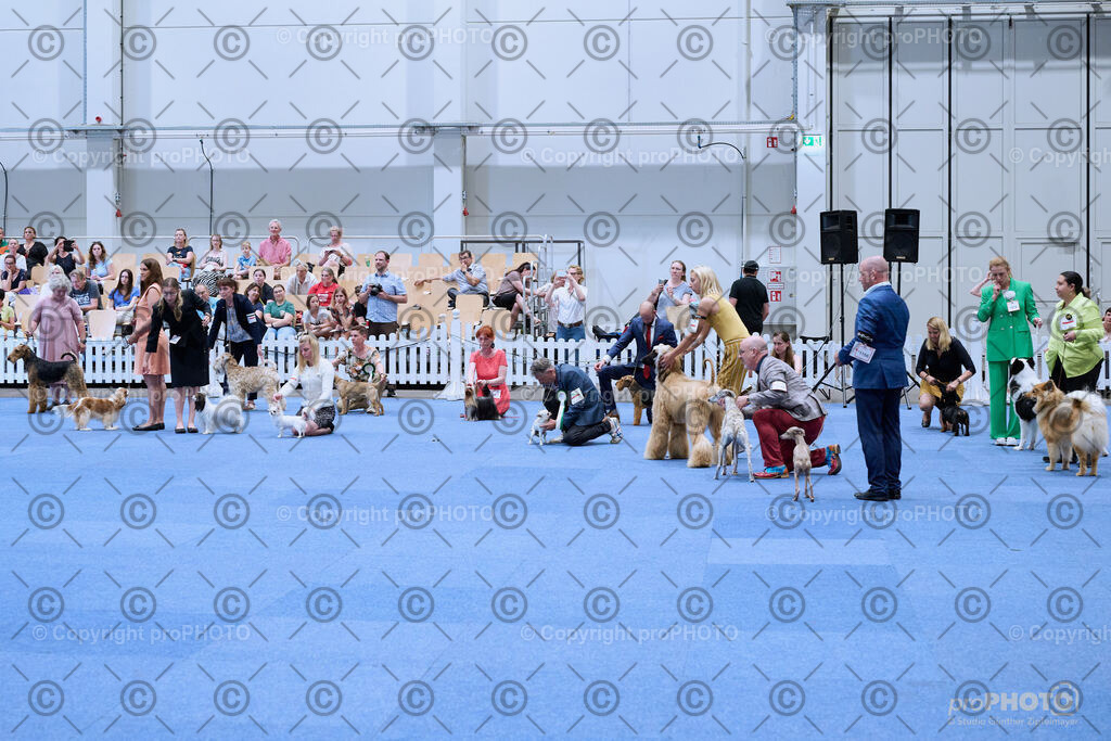 202406_ÖKV-IHA-Tulln24_NZ9_8769 | proPHOTO - Realisiert mit Pictrs.com