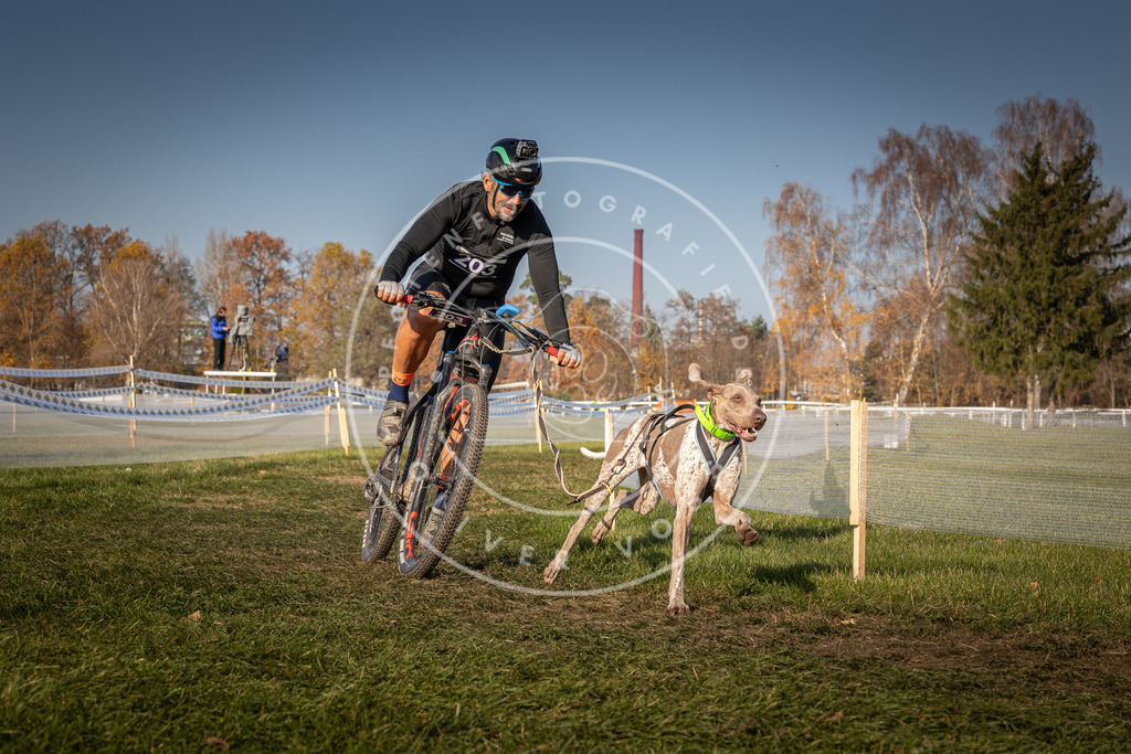 CaniXpix_0L8A7836 | Hundefotografie, Tierfotograf, Pfotenfotografie, Fotoshooting Hund, Hunde Portrait, Hundesport, Hundeportraits, Heideshooting, Hunde, Sportfotograf, Hundefotograf, Turnierhundsport, THS,  - Realisiert mit Pictrs.com