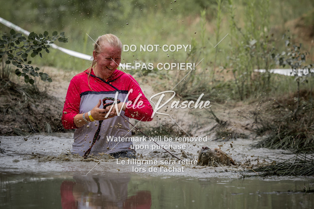 nelerasche_so0800-0930_31 | nelerasche