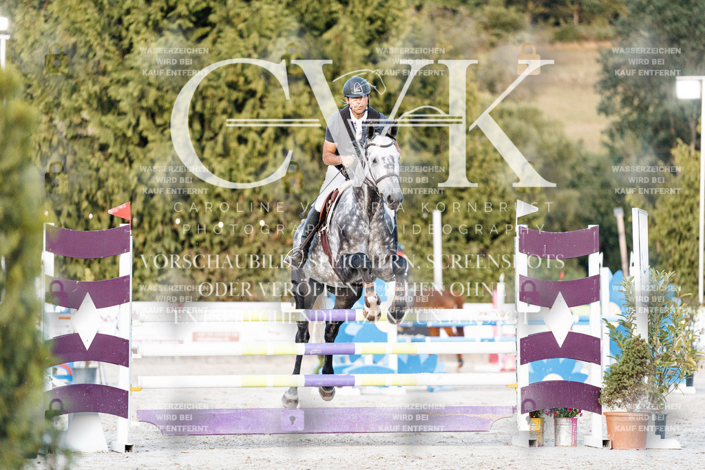 CK901373 | Turnierfotografie Pferdefotografie Trier Rheinland-Pfalz Pferdesport Reitsport Tierfotografie Sportfotografie Pferdevideo Pferdevideografie Equestrianvideography equestrianphotography  - Realisiert mit Pictrs.com