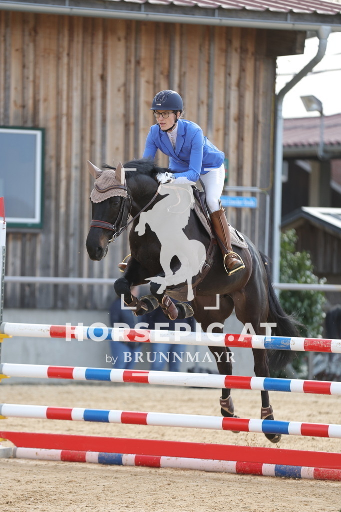 0P6A8650 | Willkommen bei Brunnmayr - Design & Fotografie – Ihrem Spezialisten für Reitturniere und Pferdeveranstaltungen in Oberösterreich, Salzburg und Bayern! Seit über 17 Jahren sind wir leidenschaftlich dabei.