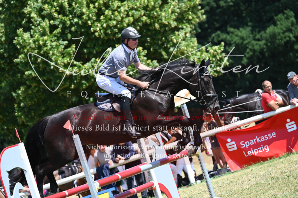 DSC_0755 | Pferde- und Turnierfotografie in Westsachsen. Pferdeportraits, Auftragszeichnungen und intuitive Kunst.
