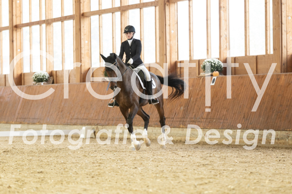 IMG_1446 | Creatify Fotografie