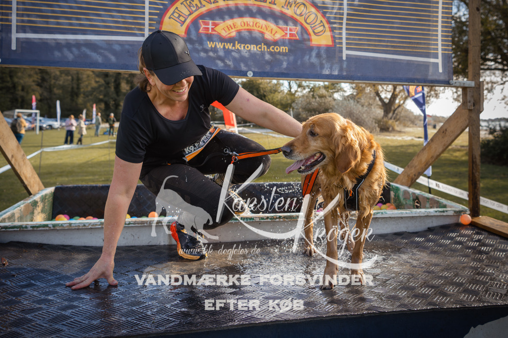 1311_ZZ99541-2 | kk-dogfotos