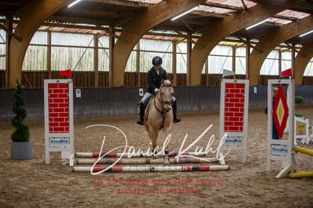 IMG_1718 | Turniersportfotografie; Pferdefotografie; Dressurfotografie