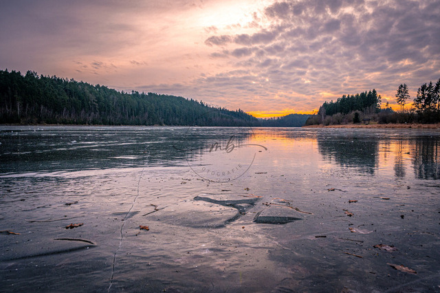 2026-01-24_15-45-53_090 | Rosa Wolken spiegeln sich auf dem gefrorenen See (Zeulenrodaer Meer) bei Sonnenuntergang, umgeben von Wäldern, Zeulenroda-Triebes, Thüringen, Deutschland - Realisiert mit Pictrs.com