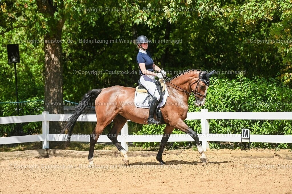 20230715_02_Dressurreiterprüfung Kl.L_0330 | equistock