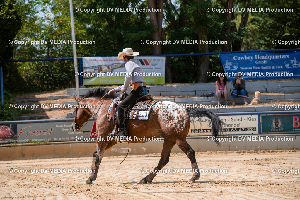 ZS3_9768 | dv-media-shop - Realisiert mit Pictrs.com