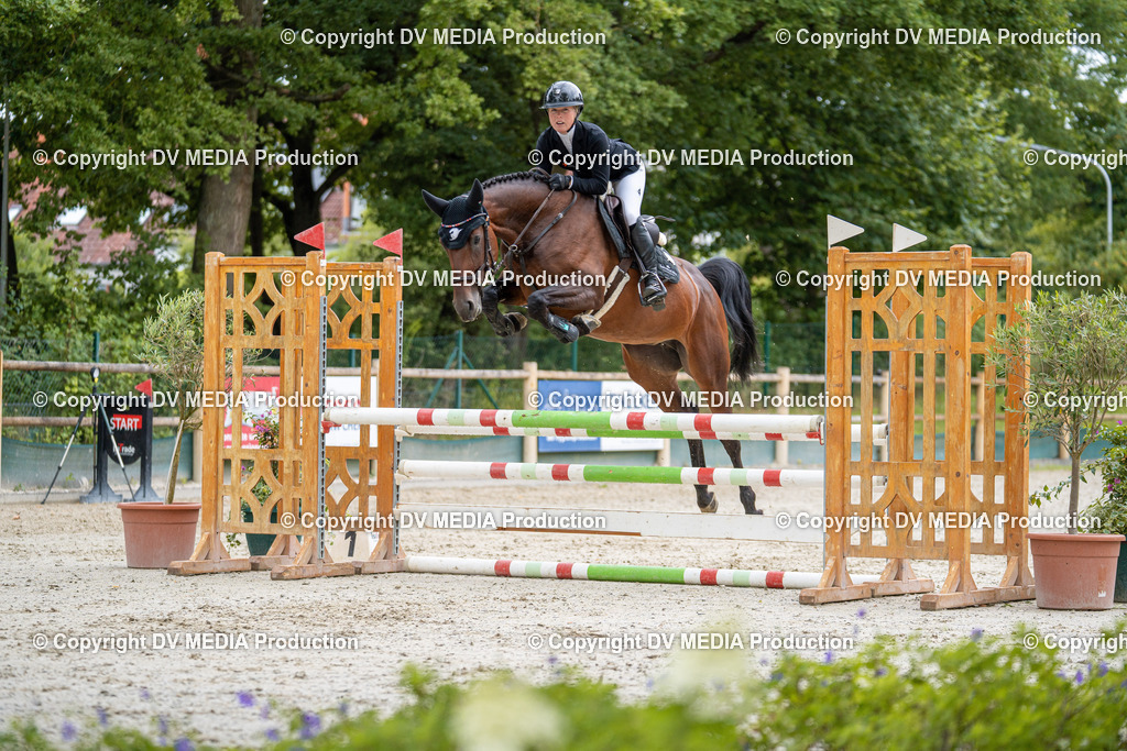 Hessische Tag 1-073 | dv-media-shop - Realisiert mit Pictrs.com