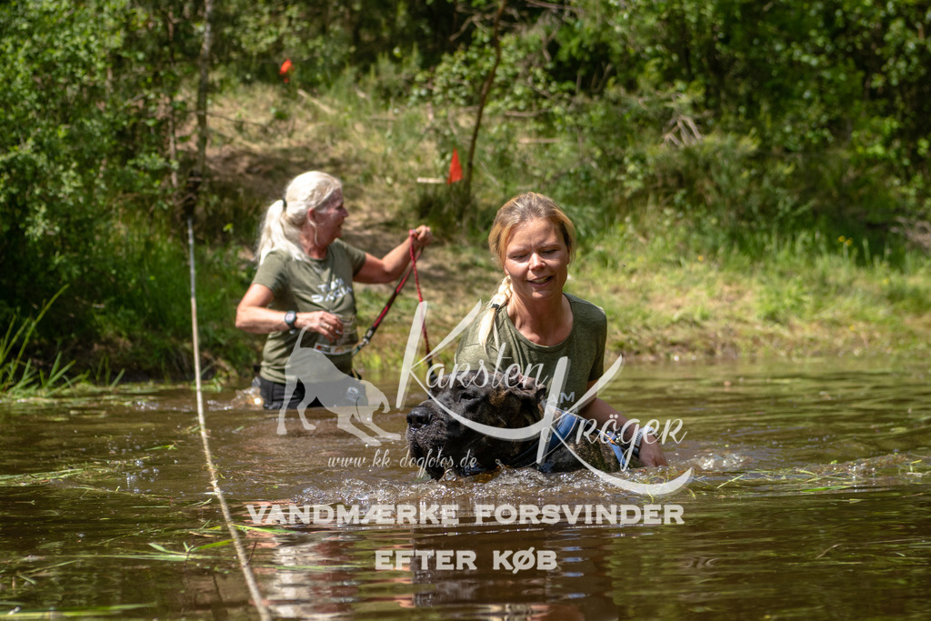 1350DKK990456 | kk-dogfotos