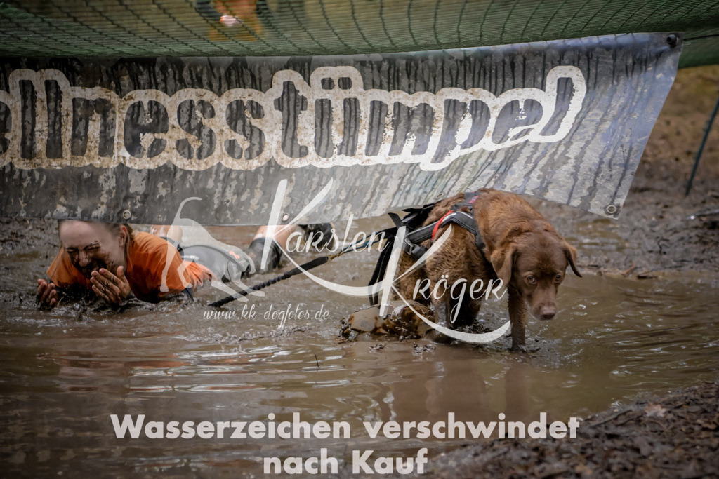 0923_ZZ97682 | kk-dogfotos