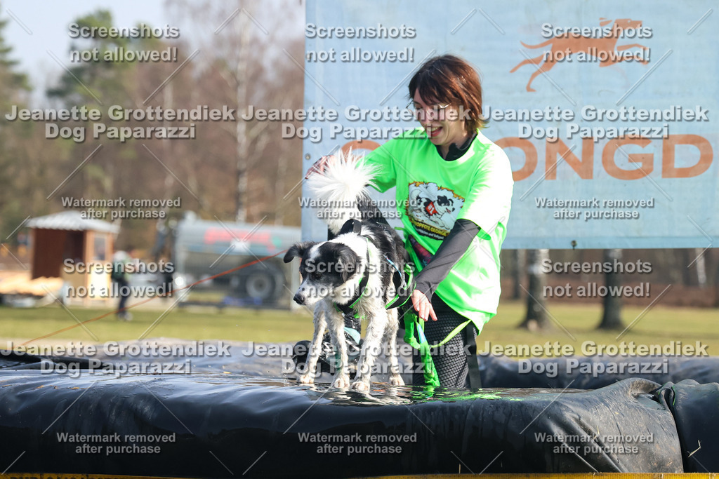 Dog Paparazzi - Strongdog North Mrz26-1593 | Dog Paparazzi Jeanette Grottendiek Fotografie & Videografie - Realisiert mit Pictrs.com