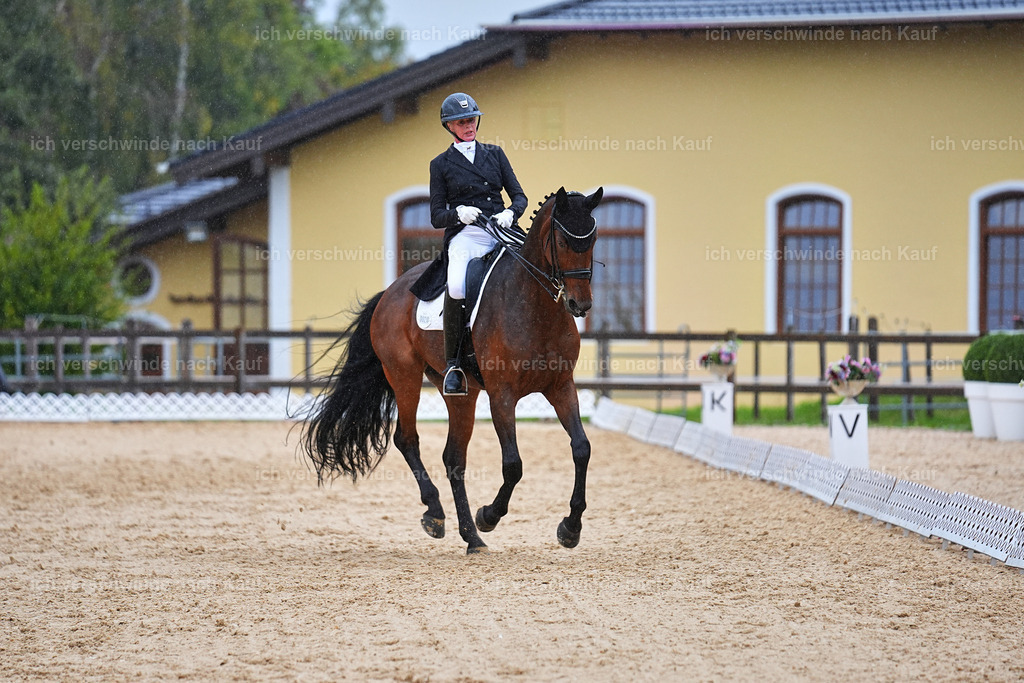 8_1-020-Klasse S_  -Marixx-4375 | working equitationturnier fotograf videograf stoibphotography marixx film working equitation deutschland reitsport turnierfotografie eventfotografie equestrian events