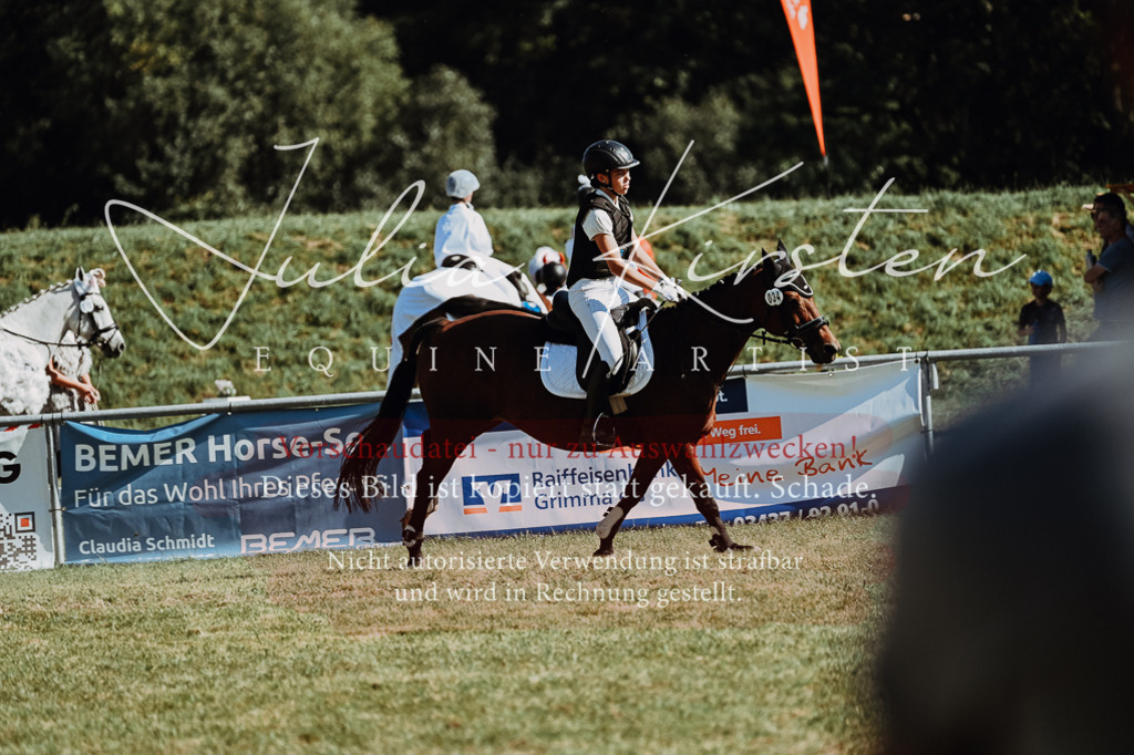 DSC_6994 | Pferde- und Turnierfotografie in Westsachsen. Pferdeportraits, Auftragszeichnungen und intuitive Kunst.