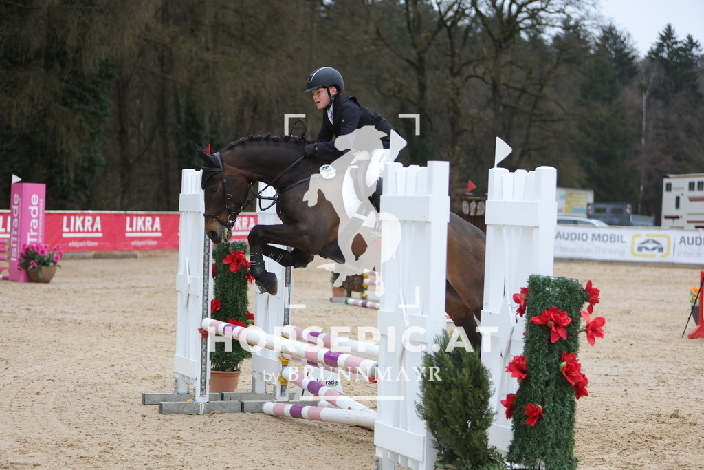 0P6A4189 | Willkommen bei Brunnmayr - Design & Fotografie – Ihrem Spezialisten für Reitturniere und Pferdeveranstaltungen in Oberösterreich, Salzburg und Bayern! Seit über 17 Jahren sind wir leidenschaftlich dabei.