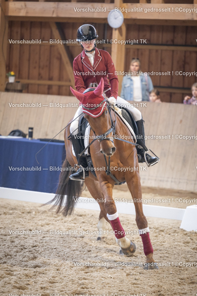 _D5A5569 | Emotionale Pferde- & People-Fotografie rund um Heidelberg, Leimen & Umgebung. Natürliche Fotos von Pferd, Mensch & Familie. Jetzt Termin sichern!