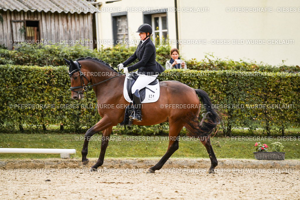 DSC09162 | Pferdegrafie