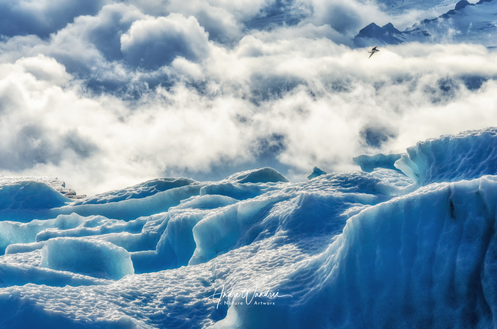 Die Arktis | Andre Wandrei - Nature Artworx - Realisiert mit Pictrs.com