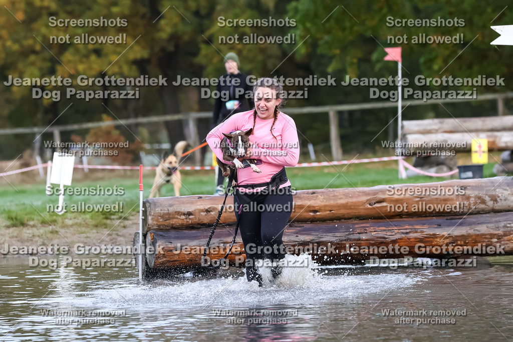 Dog Paparazzi - Strongdog 10-25-6414 | Dog Paparazzi Jeanette Grottendiek Fotografie & Videografie - Realisiert mit Pictrs.com