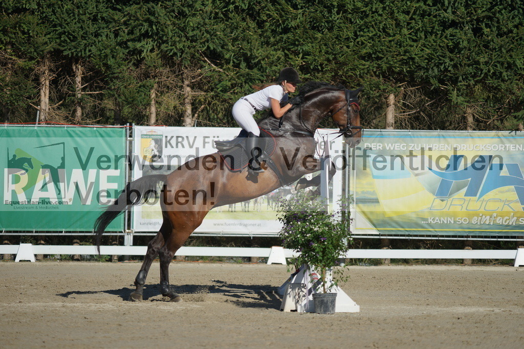 DSC01337 | equestrian-live-com