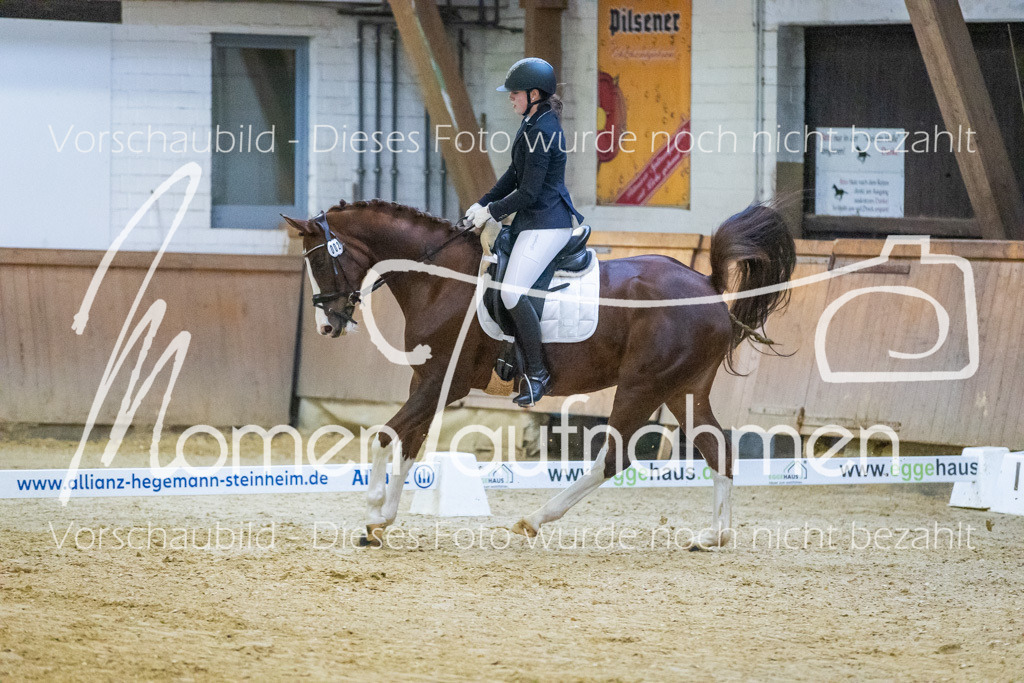 Sth-WBO25-DrR-083 | MomenTaufnahmen Pferdesportfotos