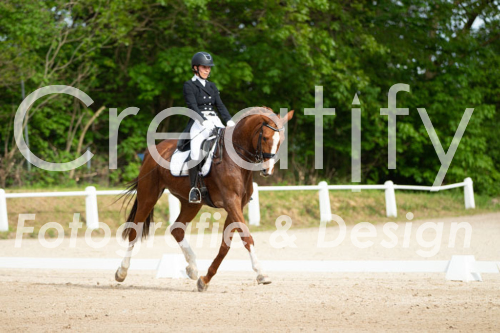 IMG_8379 | Creatify Fotografie