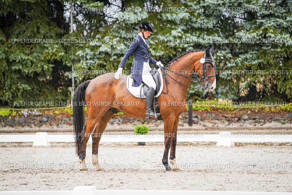 DSC08536 | Pferdegrafie