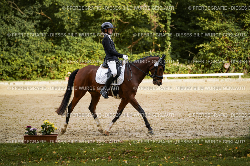 DSC09686 | Pferdegrafie