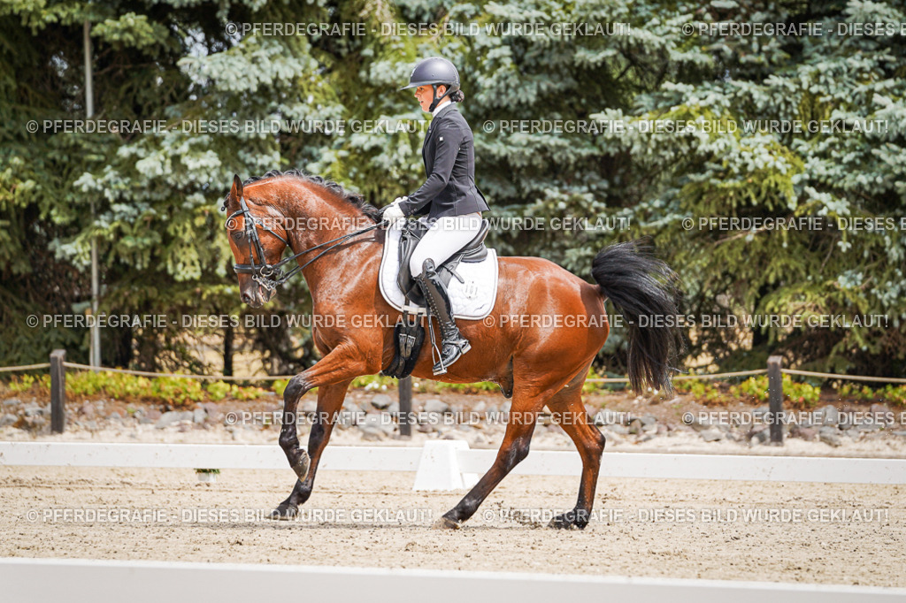 DSC03704 | Pferdegrafie