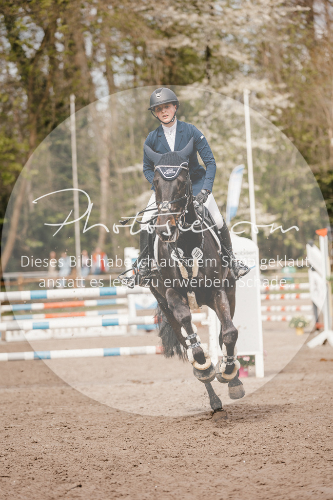 3I6A4280 | Stimmungsvolle Portraits und Reitsportfotografie im Ruhrgebiet und im Münsterland.

Pferdefotografie, Hundefotografie, Tierfotografie, Reportagen, Portraits von Tier und Mensch, Turnierfotografie in Bochum, Recklinghausen, Marl, Haltern am See, Dülmen.. - Realisiert mit Pictrs.com