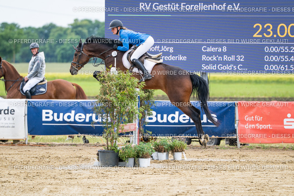 DSC04744 | Pferdegrafie