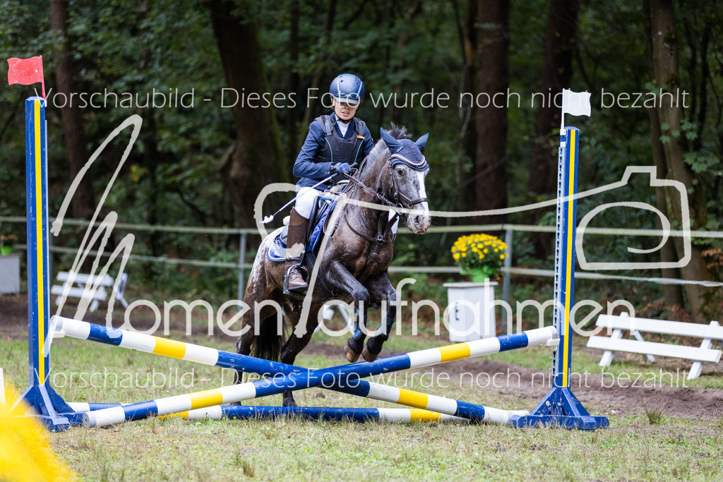 HB-Caprilli-025 | MomenTaufnahmen Pferdesportfotos