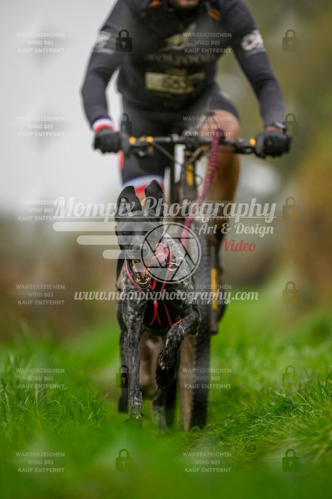MompixPhotography_20TSB_E8_Bike-60 | PayLife
