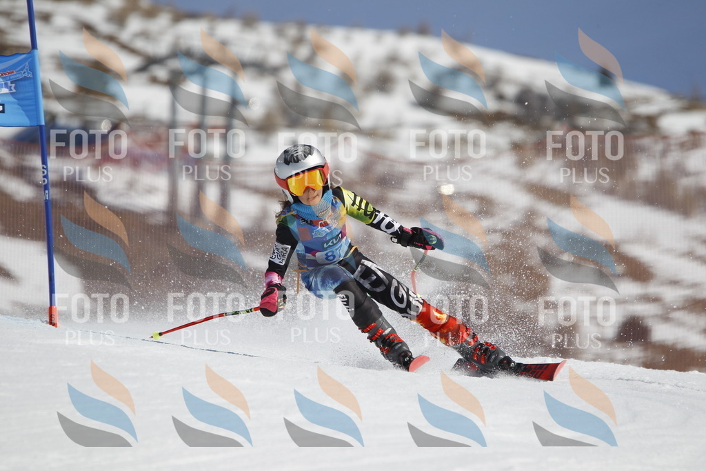 _U3G0099 | holidayphoto